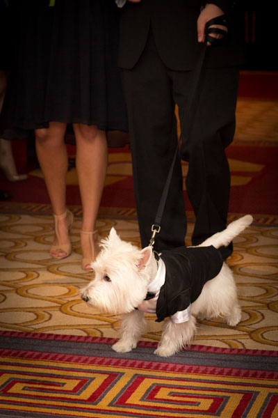 Grooms at altar